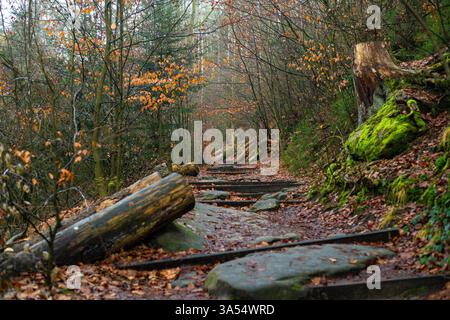 Paesaggio panoramico all'ingresso della foresta con rocce colorate e scalini in pietra. Scena perfetta d'autunno a Dresen, Germania. Foto Stock