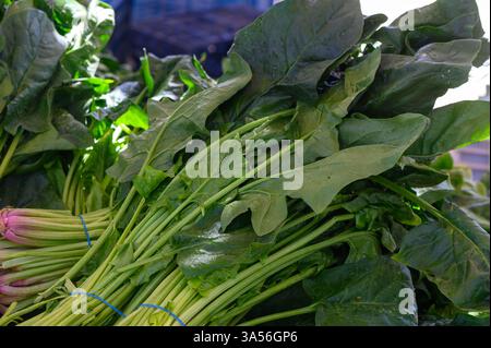 Nel cuore di un mercato locale, vengono presentate foglie verdi vivaci, raccolte al momento e pronte per la vendita. Il sole illumina questo vivace atmo Foto Stock