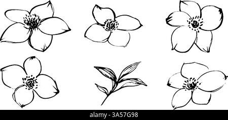 Una collezione di sei illustrazioni floreali disegnate a mano con vari disegni floreali e un piccolo ramo di foglie. I fiori sono delineati in nero con Illustrazione Vettoriale