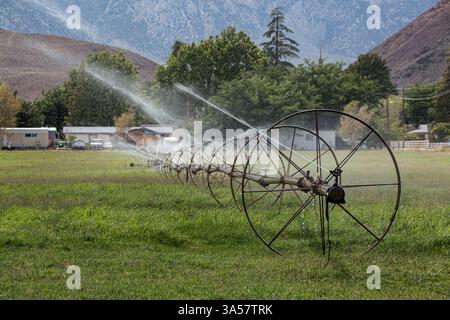 Un impianto sprinkler su ruote grandi annaffia un campo nella Valle di Owens. Foto Stock