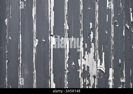 Una superficie in legno con molta vernice sbucciante. Il legno sembra essere vecchio e usurato, con molte delle tavole che mostrano segni di decadimento. La scena e' una di dicembre Foto Stock