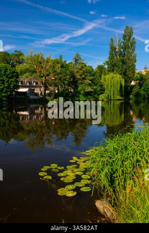 Francia, Indre (36), le Blanc, fiume la Creuse Foto Stock