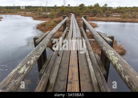 una passerella di legno con ringhiere che si snoda attraverso un'area paludosa con una piccola area coperta d'acqua. Foto Stock