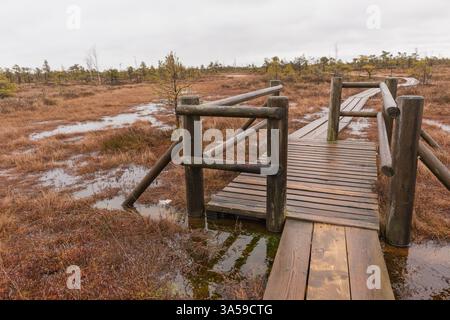 Una passerella di legno con ringhiere che si snoda attraverso un'area paludosa con piccole aree coperte d'acqua. Foto Stock