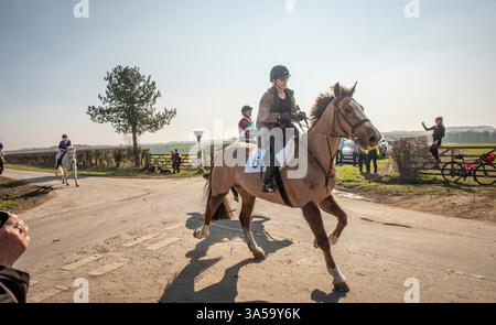 La più antica corsa di cavalli in Inghilterra, il Kiplingcotes Derby nello Yorkshire Wolds si svolge il terzo giovedì di marzo di ogni anno ed è stata fondata nel 1519. Se non dovesse succedere, sarà la fine di questo evento annuale e non accadrà mai più. Foto Stock