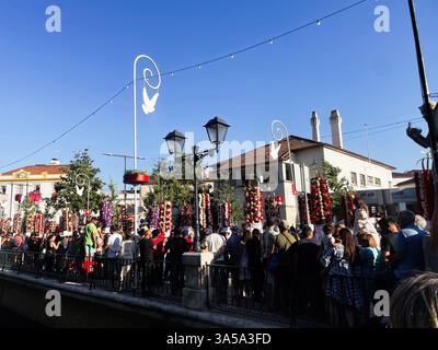 Tomar, Portogallo - 09 luglio 2023: Festival di strada a Tomar, Portogallo, caratterizzato da decorazioni colorate e una folla vibrante Foto Stock