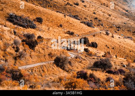 Sentiero sterrato panoramico con strada tortuosa tra le colline dorate in autunno a Roys Peak, nuova Zelanda Foto Stock
