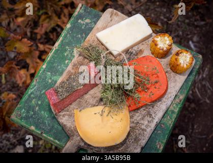 Selezione di formaggi assortiti con granturco al forno: Una delizia rustica Foto Stock