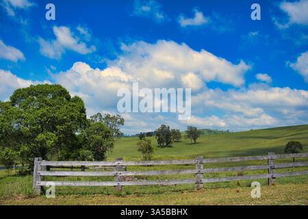 Vecchia recinzione in legno nei lussureggianti prati verdi sulle colline ondulate della regione di Hunter, nuovo Galles del Sud, Australia Foto Stock