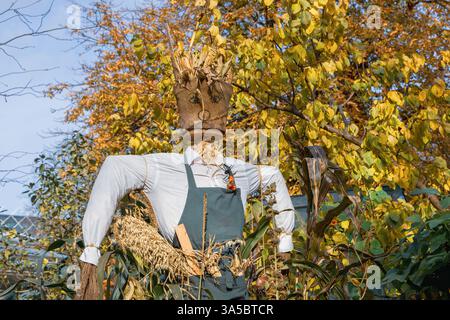 Jack o lanterna decorazioni di halloween nel parco Foto Stock