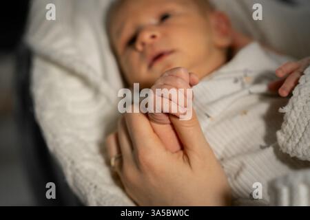 La mamma tiene delicatamente la mano piccola dei suoi neonati in un ambiente accogliente durante un momento tranquillo insieme Foto Stock