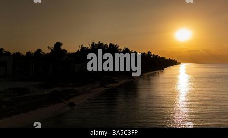 Telchac Puerto, Yucatan, Stati Uniti. 15 marzo 2025. Una vista mozzafiato della costa messicana a Telchac Puerto, Yucatn, offre acque cristalline, lussureggianti palme e un ambiente tranquillo, ambiente tranquillo, che cattura l'essenza del paradiso tropicale. (Credit Image: © Walter G. Arce Sr./ASP via ZUMA Press Wire) SOLO PER USO EDITORIALE! Non per USO commerciale! Foto Stock
