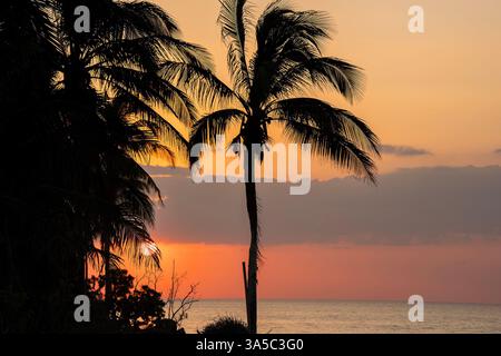 Telchac Puerto, Yucatan, Stati Uniti. 15 marzo 2025. Una vista mozzafiato della costa messicana a Telchac Puerto, Yucatn, offre acque cristalline, lussureggianti palme e un ambiente tranquillo, ambiente tranquillo, che cattura l'essenza del paradiso tropicale. (Credit Image: © Walter G. Arce Sr./ASP via ZUMA Press Wire) SOLO PER USO EDITORIALE! Non per USO commerciale! Foto Stock