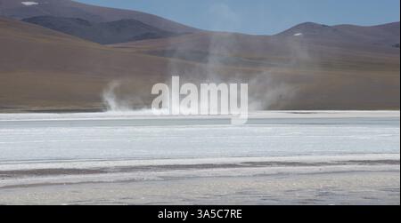 Un geyser erutta dalla Laguna Brava, nelle alte Ande dell'Argentina, creando un'affascinante dimostrazione del potere della natura. Foto Stock