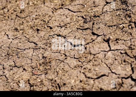 Il primo piano del terreno arido crepito mostra una terra asciutta e ruvida nel paesaggio rurale Foto Stock