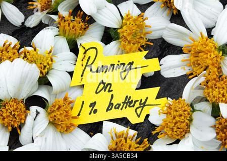 Utilizzo con batteria all'1% Note adesive sui fiori appassiti. Nota adesiva gialla con citazione motivazionale e fiore essiccato Foto Stock
