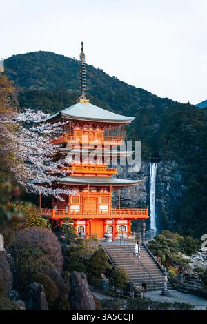 Splendida vista delle cascate Nachi e della Pagoda Seiganto-ji: Un maestoso mix di natura e tradizione nel cuore del paesaggio spirituale del Giappone! Foto Stock