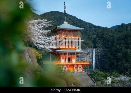 Splendida vista delle cascate Nachi e della Pagoda Seiganto-ji: Un maestoso mix di natura e tradizione nel cuore del paesaggio spirituale del Giappone! Foto Stock