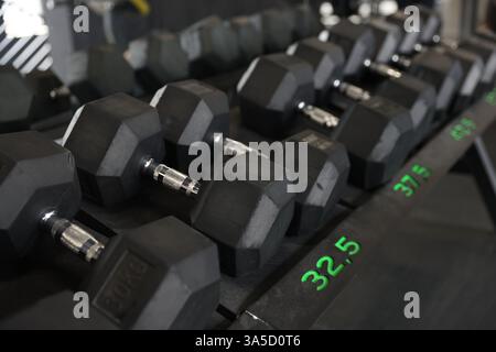 Diversi manubri in palestra. Attrezzatura sportiva Foto Stock