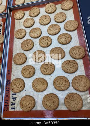 I fornai preparano decine di biscotti perfettamente sagomati sui vassoi per raffreddarli in un vivace ambiente da forno. Foto Stock