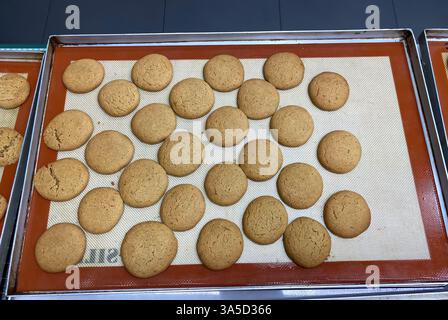 I fornai preparano decine di biscotti perfettamente sagomati sui vassoi per raffreddarli in un vivace ambiente da forno. Foto Stock