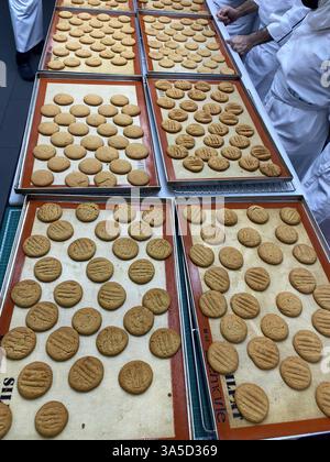 I fornai preparano decine di biscotti perfettamente sagomati sui vassoi per raffreddarli in un vivace ambiente da forno. Foto Stock
