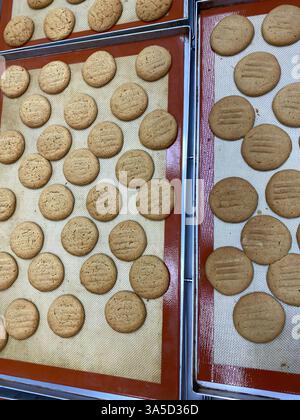 I fornai preparano decine di biscotti perfettamente sagomati sui vassoi per raffreddarli in un vivace ambiente da forno. Foto Stock