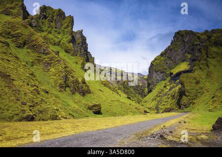 Canyon Pakgil - erba verde e muschio su rocce fantastiche. Sul canyon c'è una strada sterrata. L'Islanda estiva Foto Stock