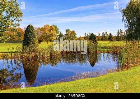 Quartieri di Montreal. Pittoresco lago poco profondo. Alberi e cespugli si riflettono nel lago. Colori brillanti dell'autunno. Canada, provincia del Quebec Foto Stock
