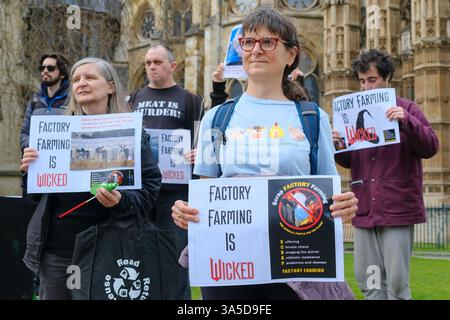 Londra, Regno Unito. 22 marzo 2025. Gli attivisti della Scrap Factory Farming protestano di fronte alle camere del Parlamento, chiedendo la graduale eliminazione delle pratiche agricole intensive, che secondo loro sono sfruttative e crudeli nei confronti degli animali, e possono causare danni alla salute umana. Il gruppo ha basato l'azione della giornata sul successo musicale del West End, "Wicked". Credito: Fotografia dell'undicesima ora/Alamy Live News Foto Stock