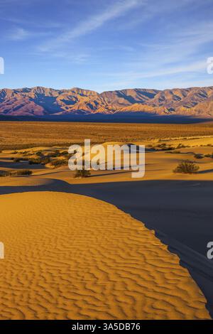 Piccole increspature di sabbia sui barkhan arancioni. Mesquite Flat Sand Dunes in California Foto Stock