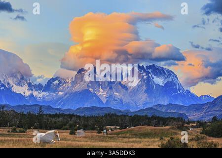 Nuvole incredibili illuminate dal tramonto. Le torri di granito di Cuernos del Paine. I cavalli purosangue bianchi pascolano in erba alta. Cile. Torres del Foto Stock