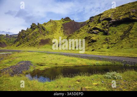 Pittoresche colline basaltiche ricoperte di erba verde e muschio polare. Sul fondo del canyon scorrono molti corsi d'acqua. Canyon Pakgil in Islanda Foto Stock