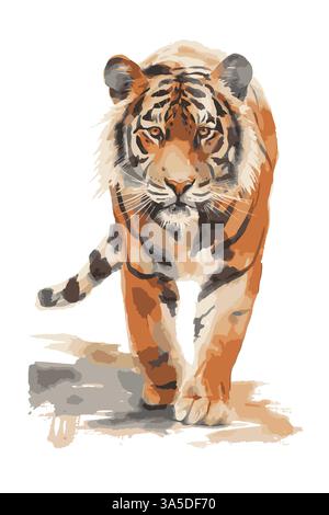 Clip art tigre con acquerello su sfondo bianco isolato. Cammina pacificamente e armoniosamente attraverso la foresta con il suo corpo potente e la maestosa aura. Illustrazione Vettoriale
