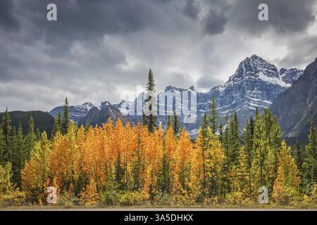 Montagne maestose e ghiacciai sullo sfondo di cielo nuvoloso. Canadian Rockies, Banff National Park in autunno. Bush arancione brillante accanto al ro Foto Stock