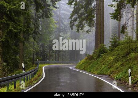 Famosa foresta nel centro d'Europa - Schwarzwald. Foresta Nera. La prima pioggia autunnale. Nebbia mattutina. L'autostrada liscia risveglia la pioggia. Ottobre Foto Stock