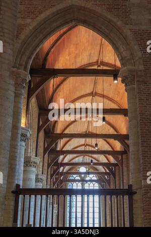 25 aprile 2017. Europa, Paesi Bassi, Olanda meridionale, Delft. Archi esterni di Nieuwe Kerk (Chiesa nuova). Foto Stock