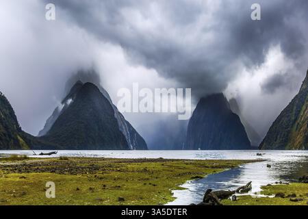 Palude, ricoperte di prati paludose, lungo la costa del fiordo di Milford Sound. La luce del sole sfonda le nuvole di tempesta. Nuova Zelanda - terra dei goblin. Concetto di e. Foto Stock