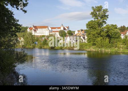 Vista sulla città con castello e Zwickauer Mulde, Colditz, Sassonia, Germania, Europa Foto Stock