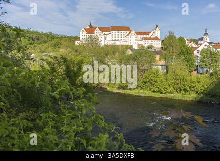Vista sulla città con castello, chiesa di Sant'Egidio e Zwickauer Mulde, Colditz, Sassonia, Germania, Europa Foto Stock