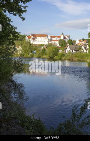 Vista sulla città con castello e Zwickauer Mulde, Colditz, Sassonia, Germania, Europa Foto Stock