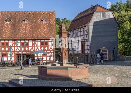 Market Fountain, negozio di frutta da Nidda con inn, Zum Adler inn, casa da Idstein, storica casa in legno, piazza del mercato, Hessenpark all'aperto Foto Stock