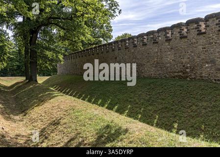 Muro difensivo con merlature, redoubt, bastioni, fossati, fossati a doppia punta, fortificazione, fronte orientale, forte romano di Saalburg, ricostruito coh Foto Stock