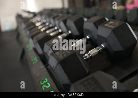 Diversi manubri in palestra. Attrezzatura sportiva Foto Stock