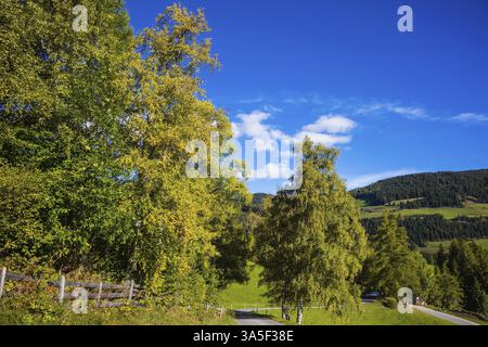Pittoreschi prati alpini verdi della valle. Agriturismo nelle Dolomiti, Val de Funes Foto Stock