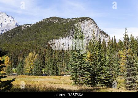 Giornata di sole in autunno estate indiana. Le montagne sono ricoperte da una fitta foresta di abeti rossi. Dintorni della città di Banff nelle Montagne Rocciose. Canad Foto Stock