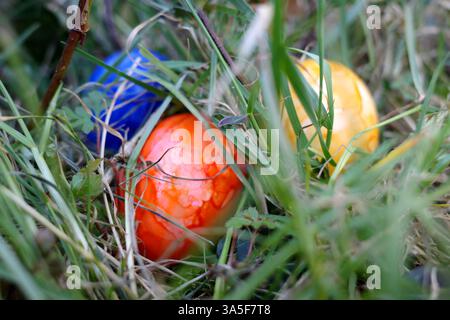 Le uova di Pasqua dai colori vivaci sono nascoste nell'erba per i bambini Foto Stock