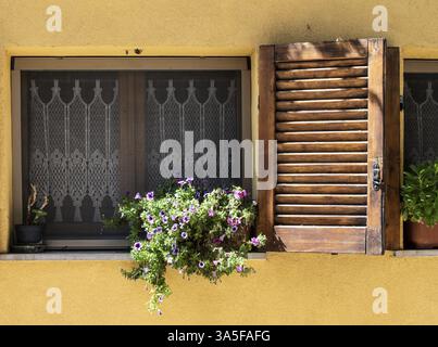Tipica facciata italiana con finestra. Casa italiana. Stile e ornamenti tradizionali. Fiori sulla finestra Foto Stock