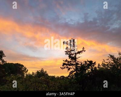 Il tramonto spettacolare proietta vivaci sfumature sul cielo, sagomando gli alberi in primo piano, creando un'atmosfera tranquilla Foto Stock
