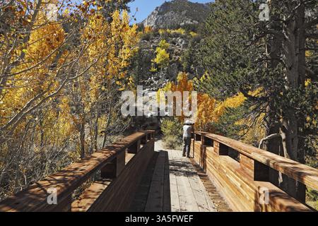 Una donna fotografa un magnifico paesaggio autunnale, in piedi su un pittoresco ponte di legno Foto Stock